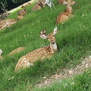 Meet your Posher, Mirna